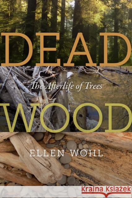 Dead Wood: The Afterlife of Trees Ellen Wohl 9780870715273