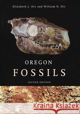 Oregon Fossils, Second Edition Elizabeth L. Orr William N. Orr 9780870715730 Oregon State University Press