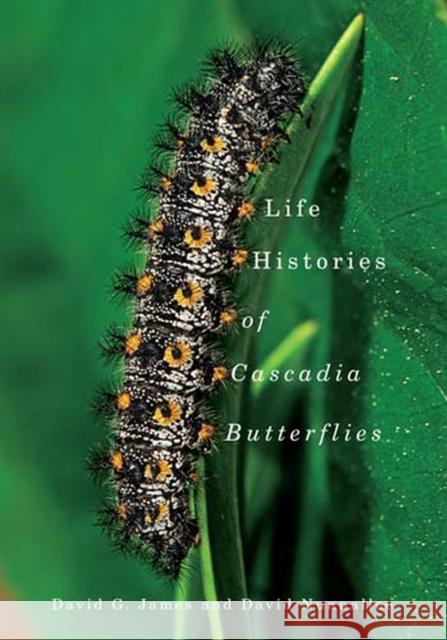 Life Histories of Cascadia Butterflies David G James David Nunnallee  9780870716263 Oregon State University