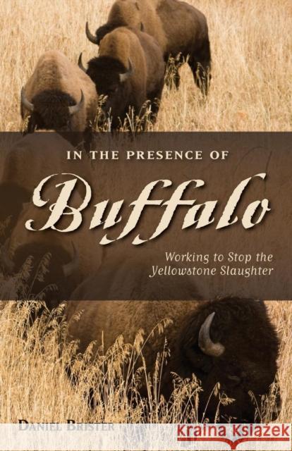 In the Presence of Buffalo: Working to Stop the Yellowstone Slaughter Daniel Brister Doug Peacock 9780871089595 Westwinds Press