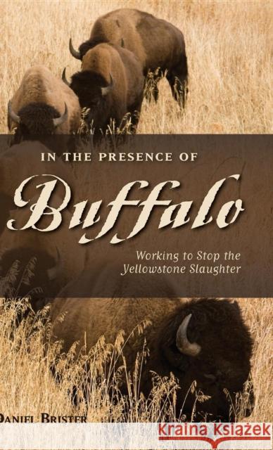 In the Presence of Buffalo: Working to Stop the Yellowstone Slaughter Daniel Brister Doug Peacock 9780871089786 Westwinds Press