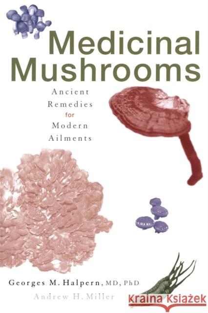 Medicinal Mushrooms: Ancient Remedies for Modern Ailments Halpern, Georges M. 9780871319814 