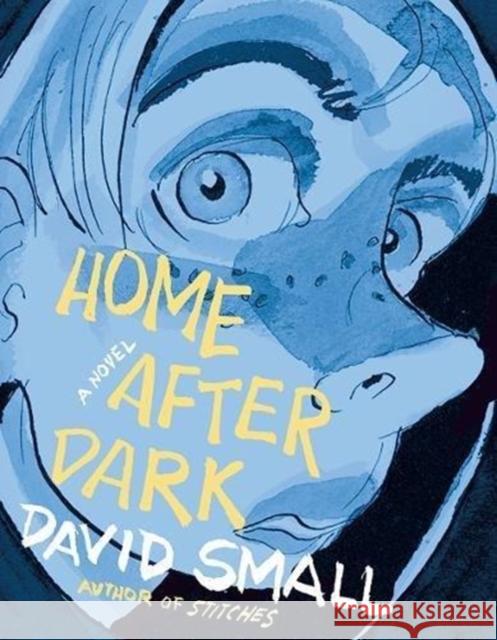 Home After Dark Small, David 9780871403155 Liveright Publishing Corporation