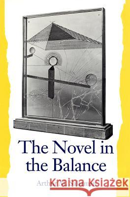 The Novel in the Balance Arthur M. Saltzman 9780872499607