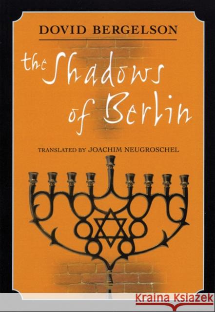The Shadows of Berlin: The Berlin Stories of Dovid Bergelson David Bergelson Joachim Neugroschel 9780872864443 City Lights Books