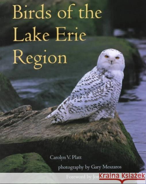 Birds of the Lake Erie Region Carolyn V. Platt Gary Meszaros 9780873386906 Kent State University Press