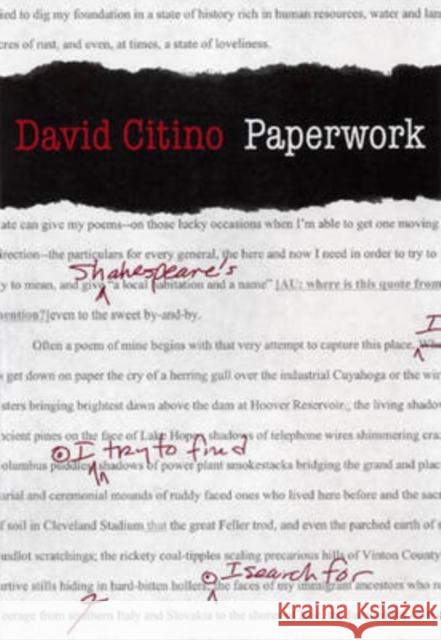 Paperwork David Citino 9780873387842 Kent State University Press