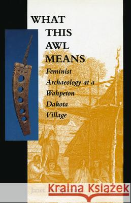What This Awl Means: Feminist Archaeology at a Wahpeton Dakota Village Janet D. Spector 9780873512787 Minnesota Historical Society Press,U.S.