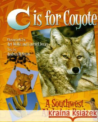 C Is for Coyote: A Southwest Alphabet Book Art Wolfe Gavriel Jecan Andrea Helman 9780873587983 Rising Moon Books