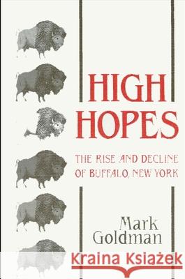 High Hopes: The Rise and Decline of Buffalo, New York Mark Goldman 9780873957359 State University of New York Press