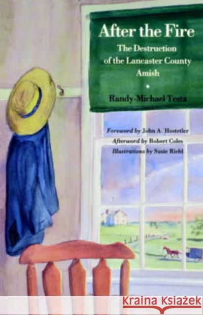 After the Fire Randy-Michael Testa, Susie Riehl, John A. Hostetler, Robert Coles 9780874516470 University Press of New England