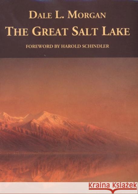 The Great Salt Lake Dale Lowell Morgan Kenneth B. Castleton Dave L. Morgan 9780874804782