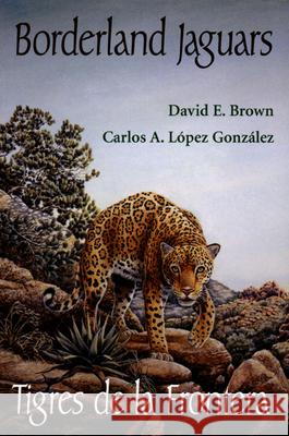 Borderland Jaguars: Tigres de Le Frontera David E. Brown Carlos A. Lope 9780874806960 University of Utah Press