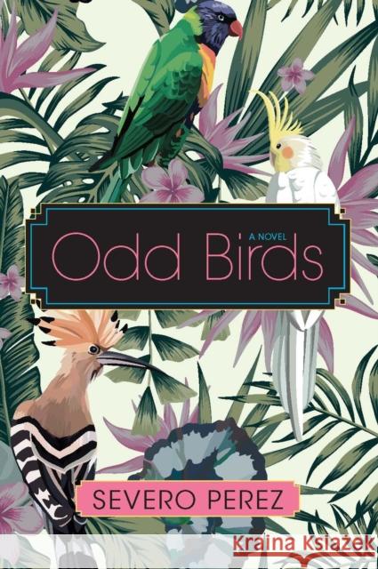 Odd Birds Severo Perez 9780875657295 Texas Christian University Press