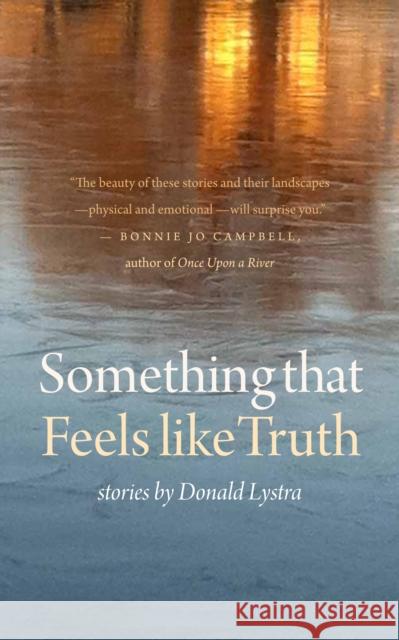 Something That Feels Like Truth Donald Lystra 9780875806938 Switchgrass Books/Northern Illinois Universit