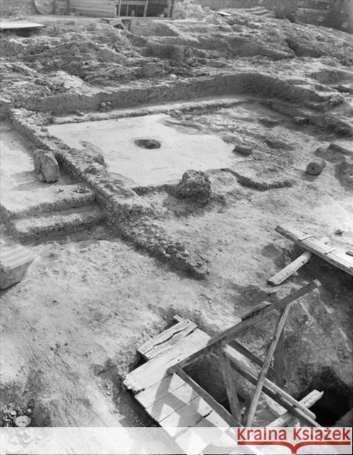 The Agora Bone Well Maria A. Liston Susan I. Rotroff Lynn M. Snyder 9780876615508