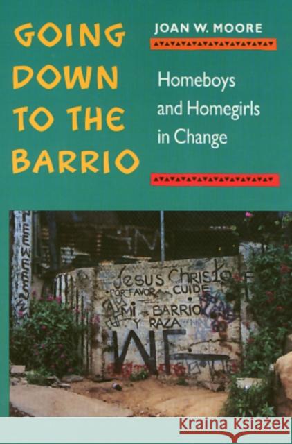 Going Down to the Barrio: Homeboys and Homegirls in Change Moore, Joan 9780877228554 Temple University Press