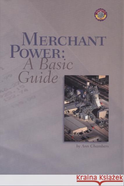 Merchant Power : A Basic Guide Ann Chambers 9780878147663 Pennwell Books