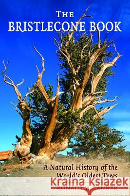 The Bristlecone Book: A Natural History of the World's Oldest Trees Ronald M. Lanner 9780878425389 Mountain Press Publishing Company