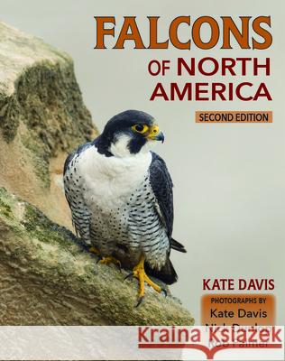 Falcons of North America Kate Davis Nick Dunlop Rob Palmer 9780878427017 Mountain Press