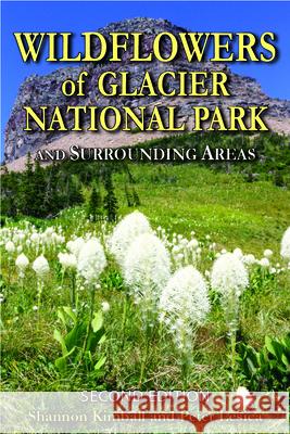 Wildflowers of Glacier National Park: And Surrounding Areas Shannon Kimball Peter Lesica 9780878427093 Trillium Press