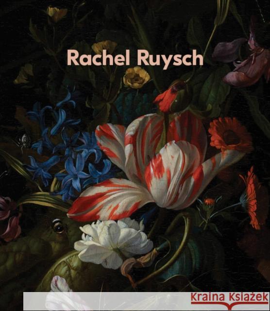 Rachel Ruysch: Nature into Art  9780878468997 Museum of Fine Arts,Boston