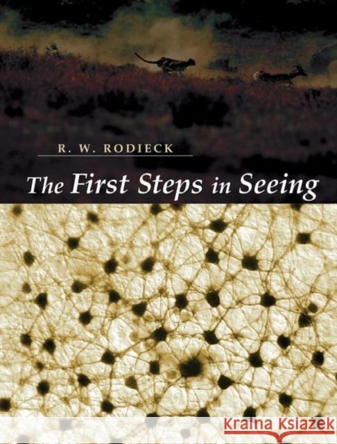 The First Steps in Seeing R. W. Rodieck Robert W. Rodieck 9780878937578 Sinauer Associates