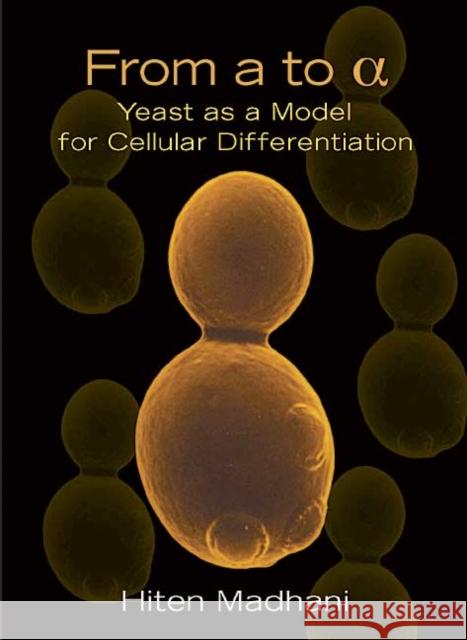 From a to Alpha : Yeast as a Model for Cellular Differentiation Hiten D. Madhani 9780879697372 Cold Spring Harbor Laboratory Press