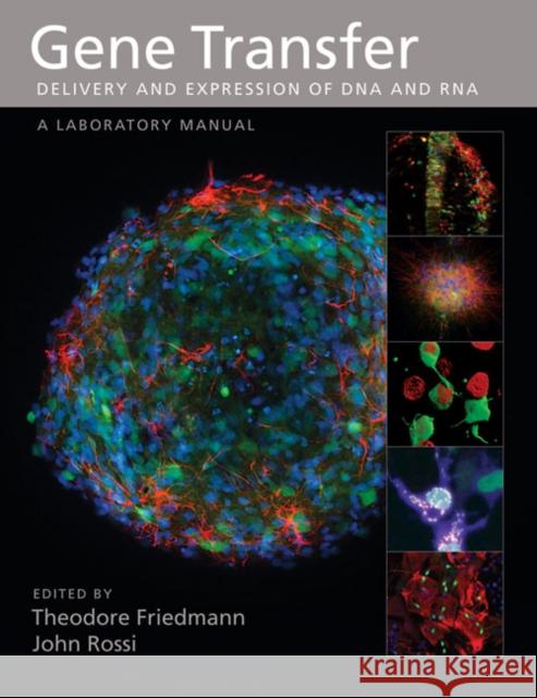 Gene Transfer: Delivery and Expression of DNA and Rna, a Laboratory Manual Friedmann, Theodore 9780879697648 Cold Spring Harbor Laboratory Press