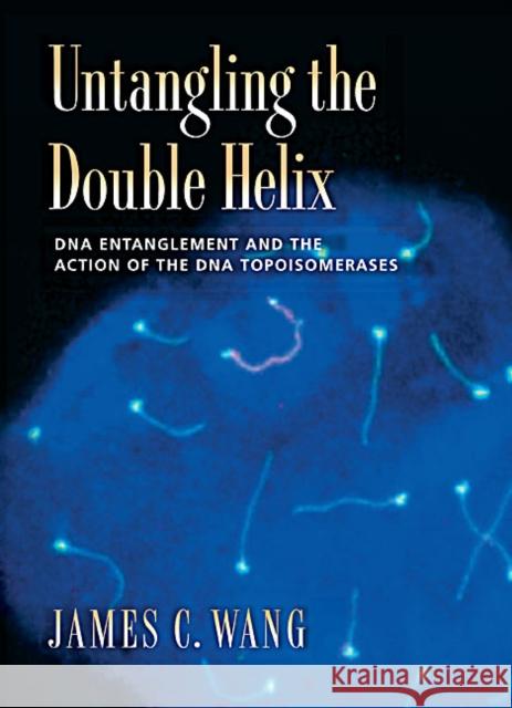 Untangling the Double Helix : DNA Entanglement and the Action of the DNA Topoisomerases James C. Wang 9780879698638 Cold Spring Harbor Laboratory Press