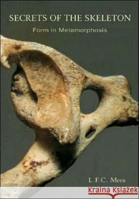 Secrets of the Skeleton: Form in Metamorphosis L. F. C. Mees, E. Bohr 9780880100878 Anthroposophic Press Inc