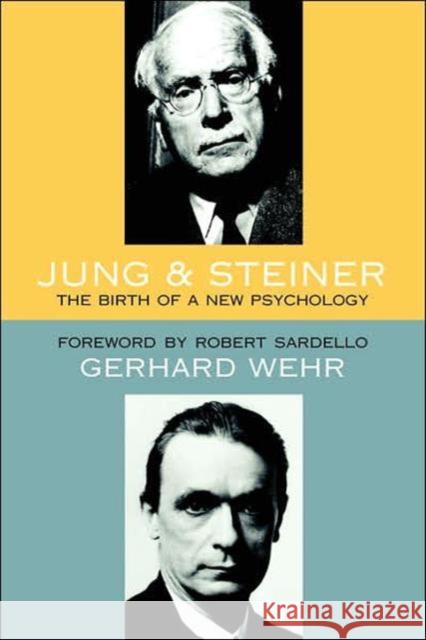 Jung and Steiner : The Birth of a New Psychology Gerhard Wehr Robert Sardello Magdalene Jaeckel 9780880104968 
