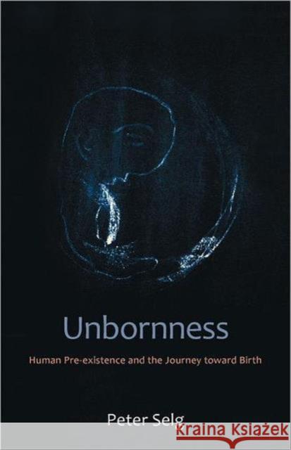 Unbornness: Human Pre-Existence and the Journey Toward Birth Peter Selg 9780880107181