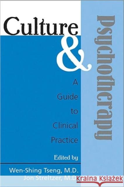 Culture and Psychotherapy: A Guide to Clinical Practice Tseng, Wen-Shing 9780880489553