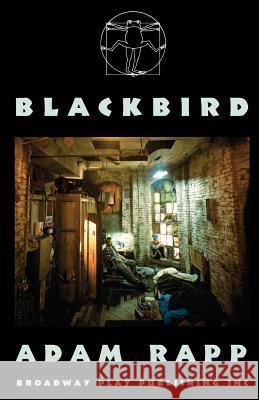 Blackbird Adam Rapp 9780881452495 Broadway Play Publishing Inc