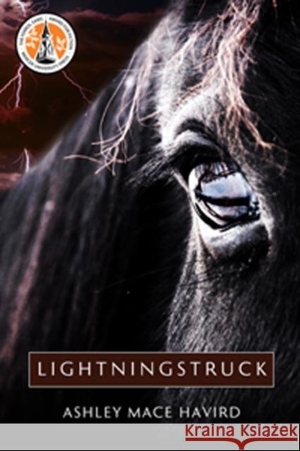 Lightningstruck Ashley Mace Havird 9780881465969 Mercer University Press