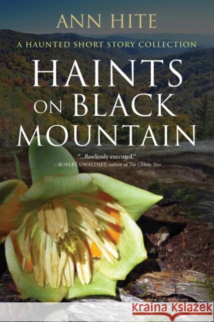 Haints on Black Mountain: A Haunted Short Story Collection Ann Hite 9780881468526