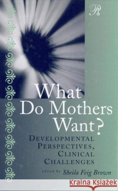 What Do Mothers Want?: Developmental Perspectives, Clinical Challenges Brown, Sheila F. 9780881634006 Analytic Press
