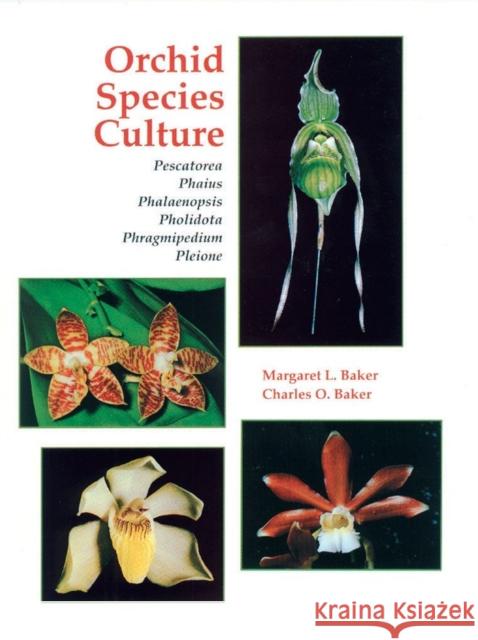 Orchid Species Culture : Pescatorea, Phaius, Phalaenopsis, Pholidota, Phragmipedium, Pleione Margaret L. Baker Charles O. Baker 9780881922080 