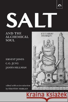 Salt and the Alchemical Soul Carl Gustav Jung James Hillman Stanton Marlan 9780882141312