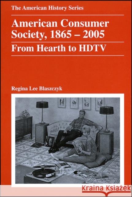 American Consumer Society, 1865 - 2005: From Hearth to HDTV Blaszczyk, Regina Lee 9780882952642 Harlan Davidson