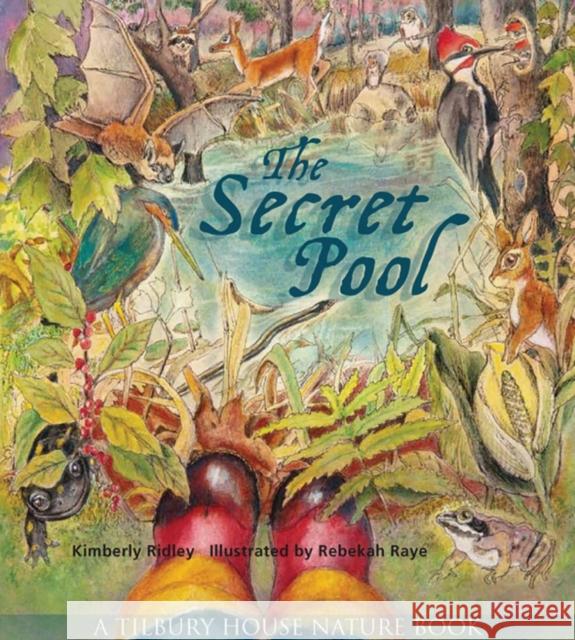 The Secret Pool Kimberly Ridley Rebekah Raye 9780884484943 Tilbury House Publishers