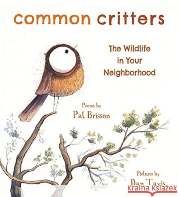 Common Critters: The Wildlife in Your Neighborhood Pat Brisson Dan Tavis 9780884486916