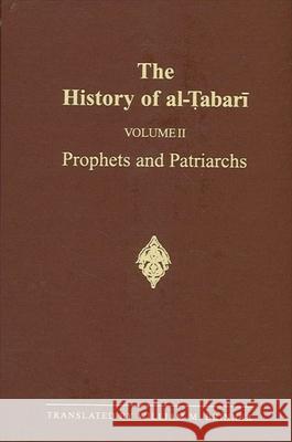 The History of al-Tabari Vol. 2 Brinner, William M. 9780887063138