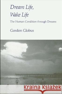 Dream Life, Wake Life Gordon G. Globus 9780887063596 State University of New York Press