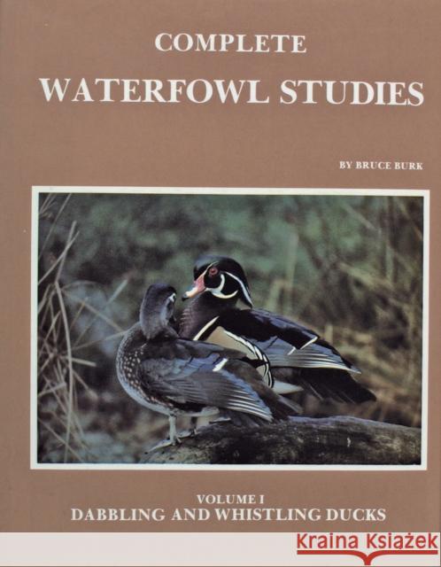 Complete Waterfowl Studies: Volume I: Dabbling Ducks and Whistling Ducks Burk, Bruce 9780887400254 Schiffer Publishing