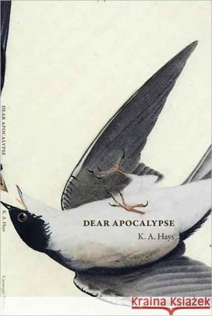 Dear Apocalypse K. A. Hays 9780887484957 Carnegie-Mellon University Press