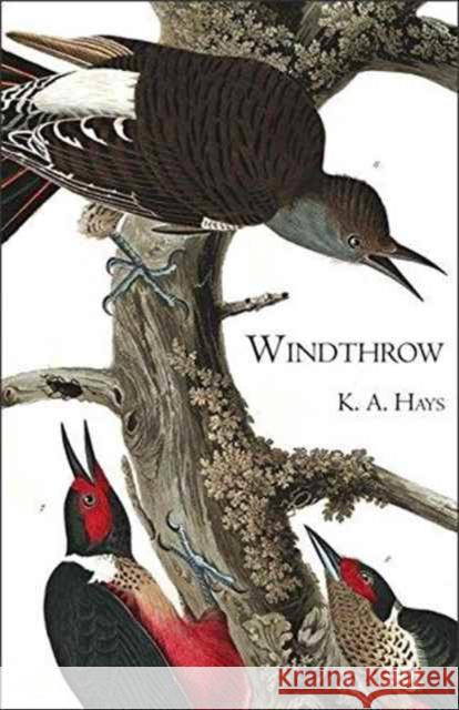 Windthrow K. A. Hays 9780887486197 Carnegie-Mellon University Press