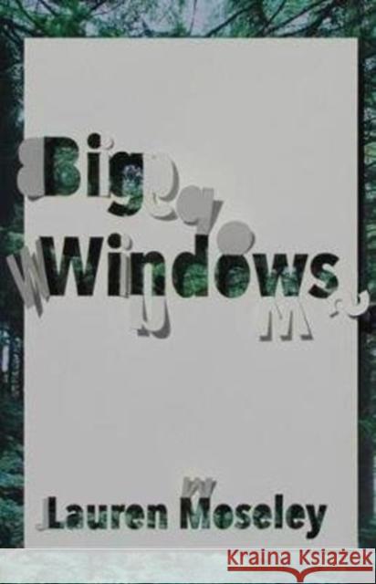 Big Windows Lauren Moseley 9780887486326 Carnegie-Mellon University Press