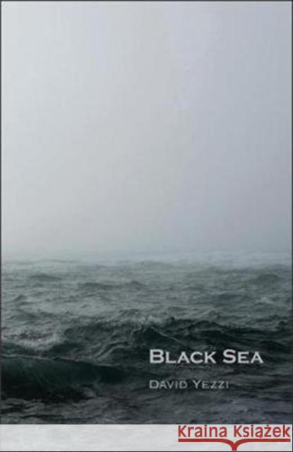 Black Sea David Yezzi 9780887486357 Carnegie-Mellon University Press